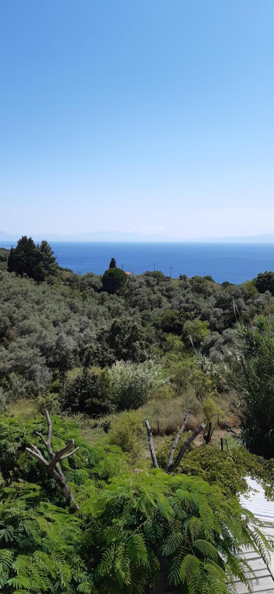 Pansion Platana Ξενοδοχείο Γλώσσα Εξωτερικό φωτογραφία